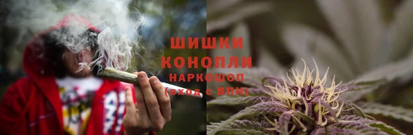 соль ск Алексин