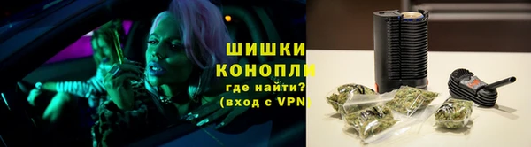 гашик Алексеевка