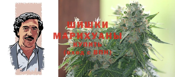 гашик Алексеевка