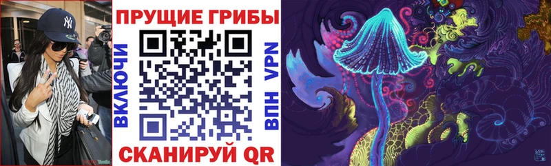 Галлюциногенные грибы GOLDEN TEACHER  Кемерово 