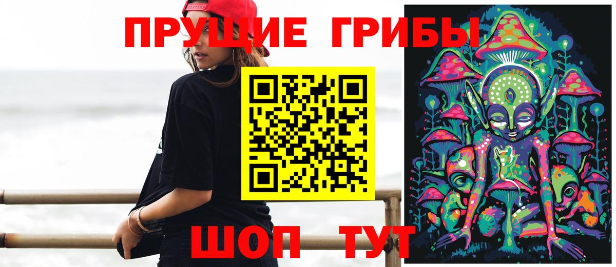 Кемерово  Галлюциногенные грибы прущие грибы  Вход с VPN  Псилоцибиновые грибы мицелий 